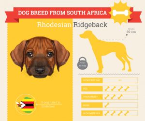 karakter en oorsprong