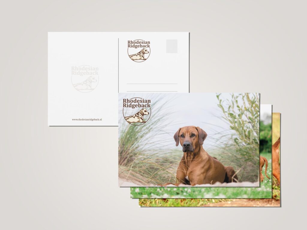 Rhodesian Ridgeback Ansichtkaarten